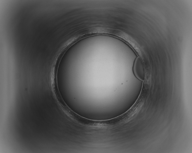 X0000102300437200808011406