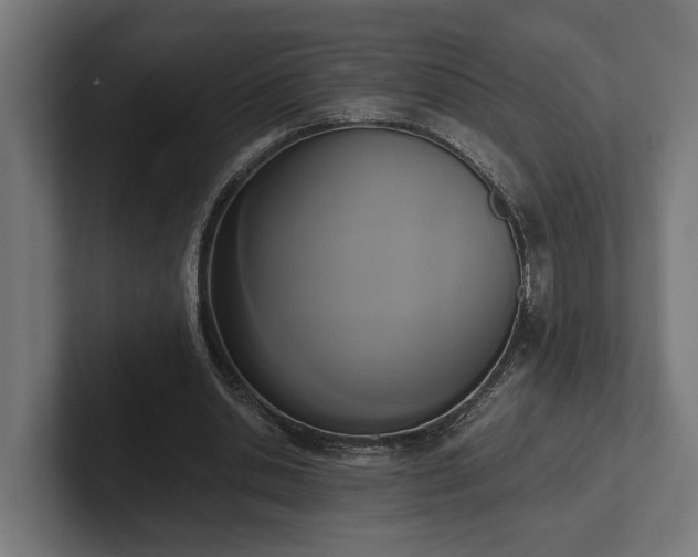 X0000102300438200808011406