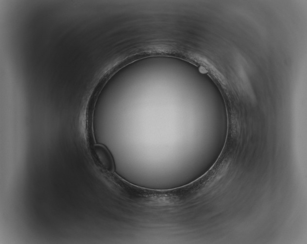 X0000102300439200808011406