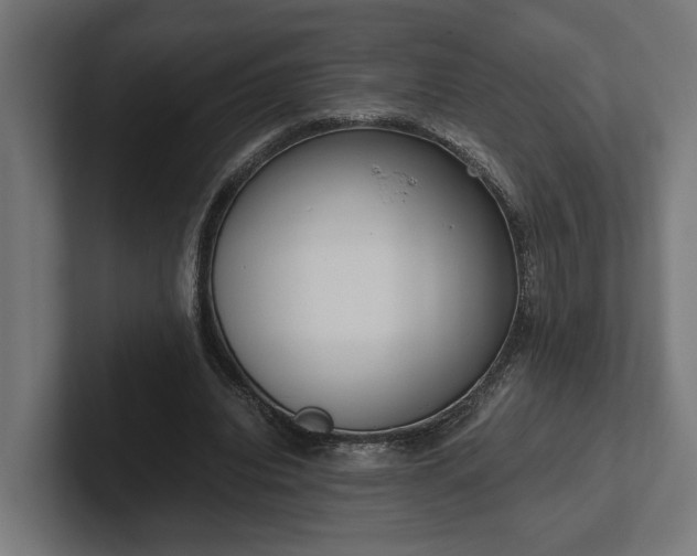 X0000102300440200808011406