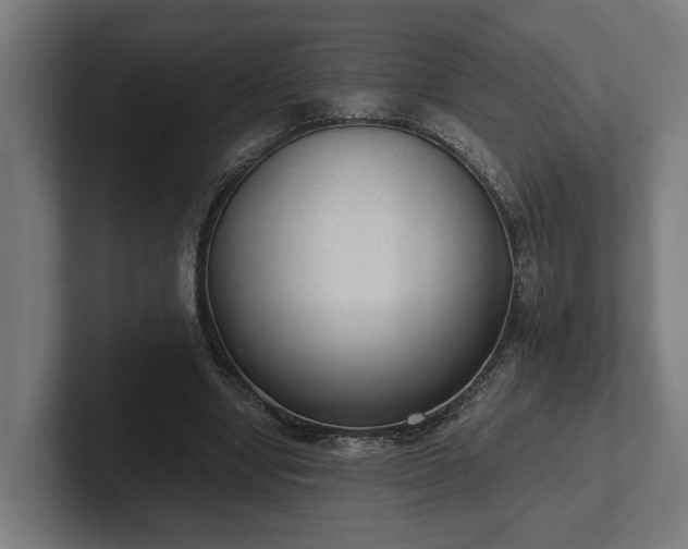 X0000102300442200808011406