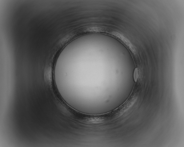 X0000102300445200808011406