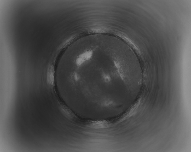 X0000102300446200808011406