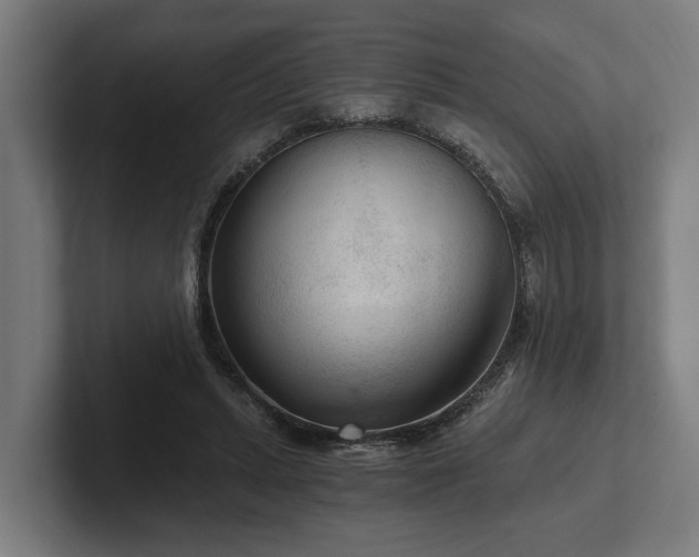 X0000102300447200808011406