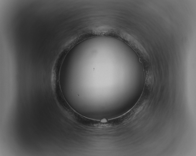 X0000102300448200808011406