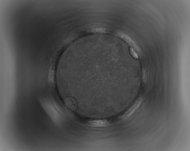 X0000102300449200808011406