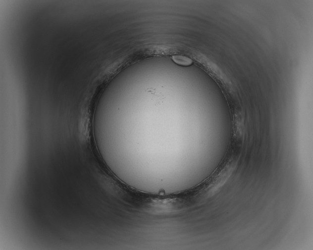 X0000102300450200808011406