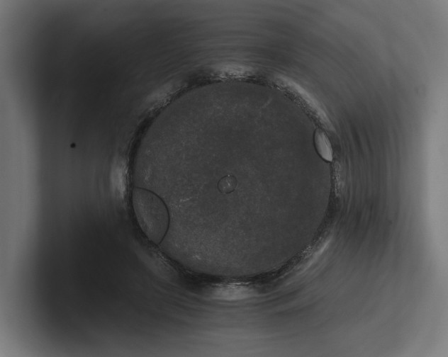 X0000102300451200808011406