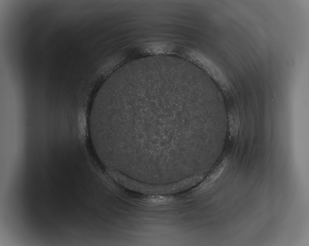 X0000102300453200808011406