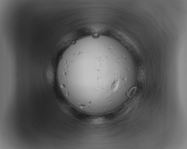 X0000102300456200808011406