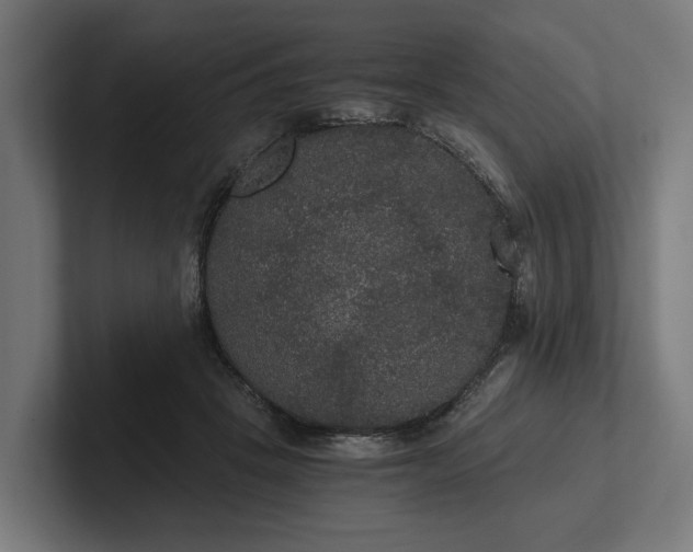 X0000102300457200808011406