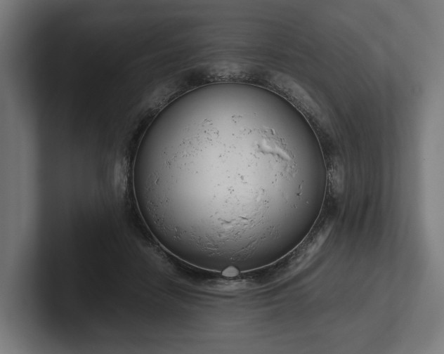 X0000102300458200808011406