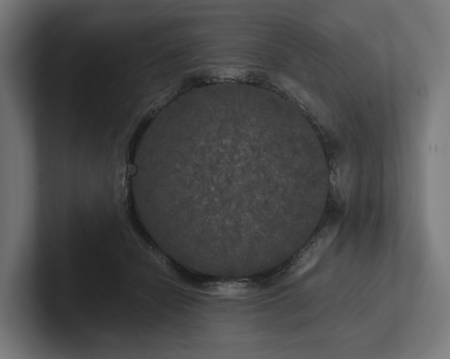 X0000102300462200808011406