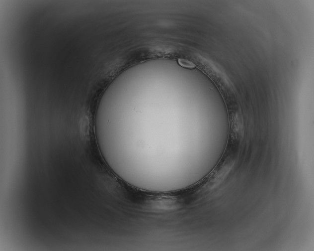 X0000102300463200808011406