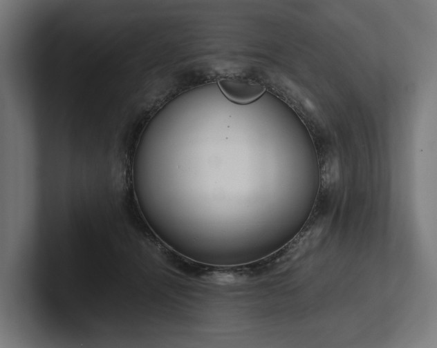 X0000102300464200808011406