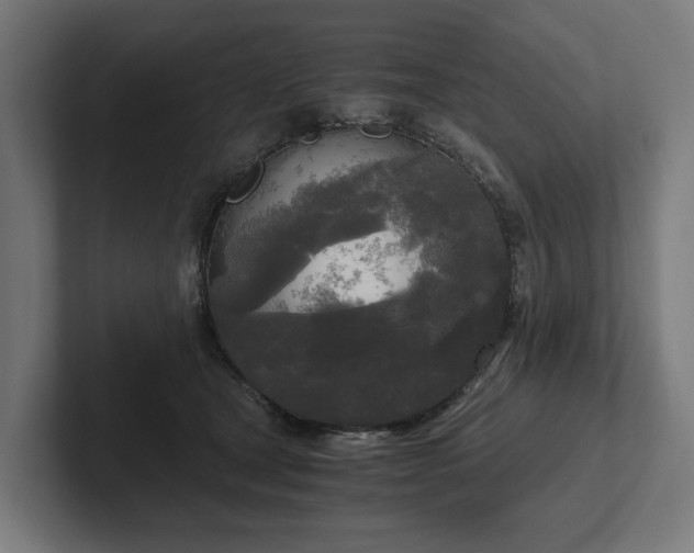 X0000102300465200808011406