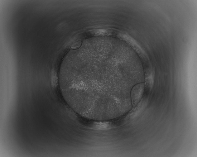 X0000102300469200808011406