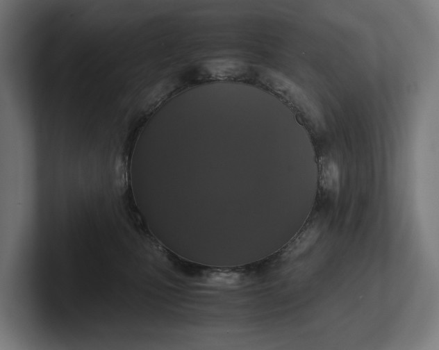 X0000102300471200808011406