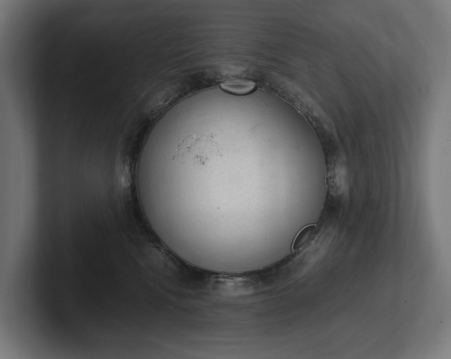 X0000102300472200808011406