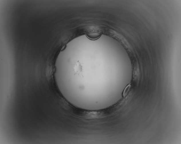 X0000102300473200808011406