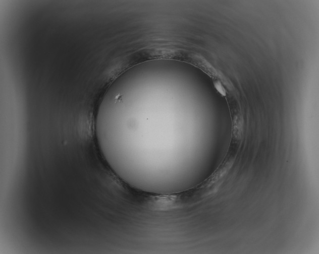 X0000102300474200808011406