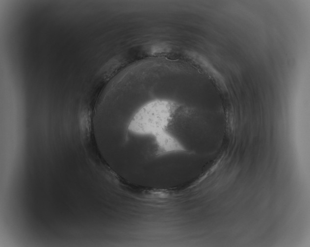 X0000102300475200808011406