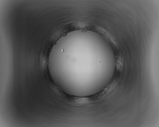 X0000102300476200808011406