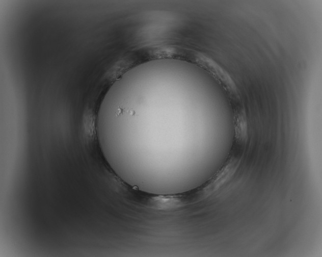 X0000102300477200808011406