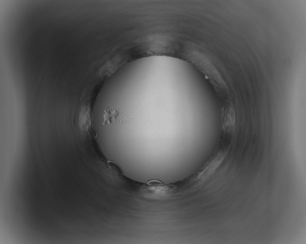 X0000102300478200808011406