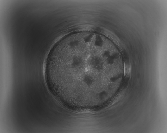 X0000102300483200808011406