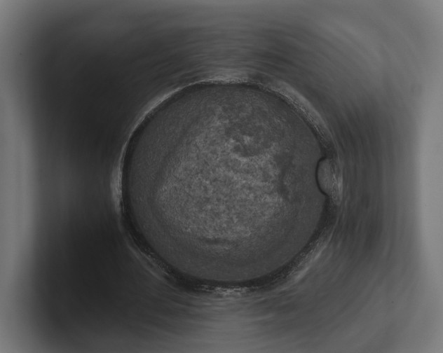 X0000102300484200808011406