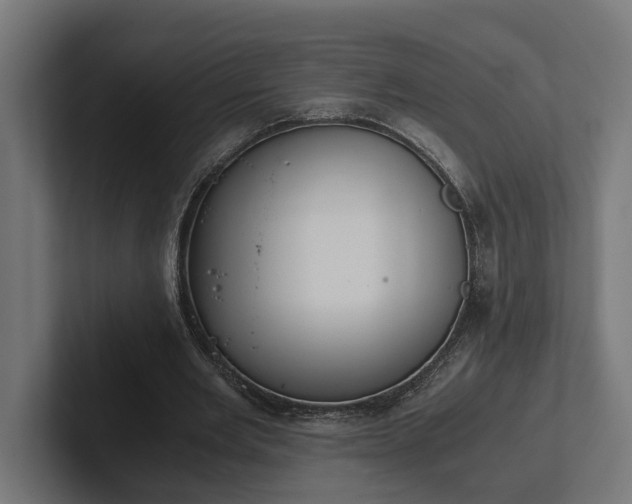 X0000102300485200808011406