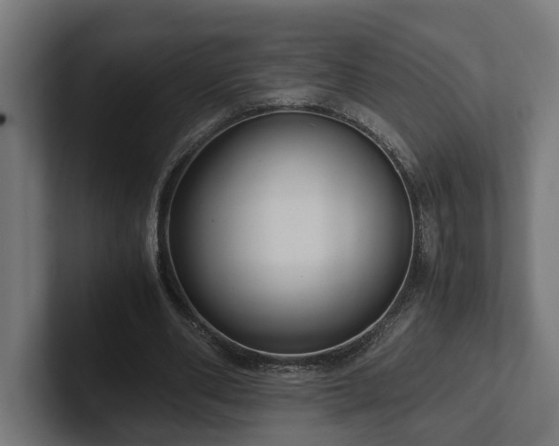 X0000102300486200808011406