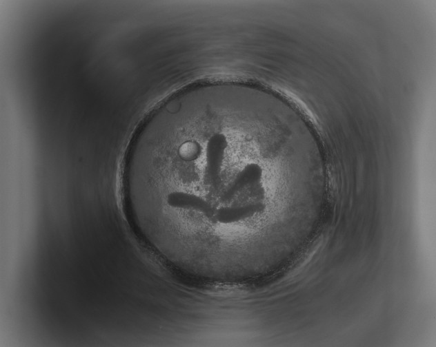 X0000102300487200808011406