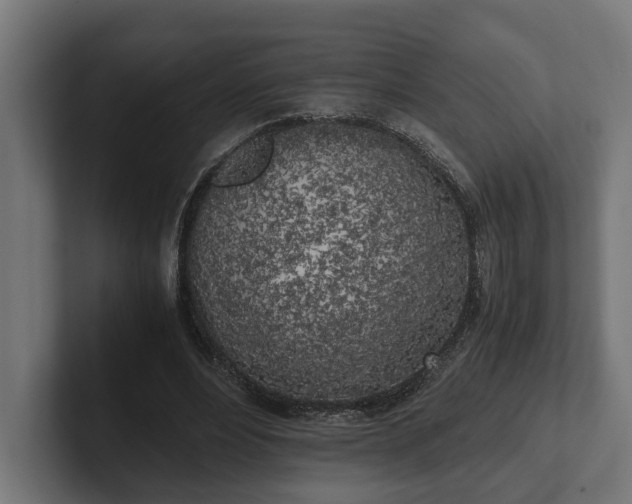 X0000102300488200808011406