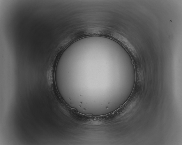 X0000102300489200808011406