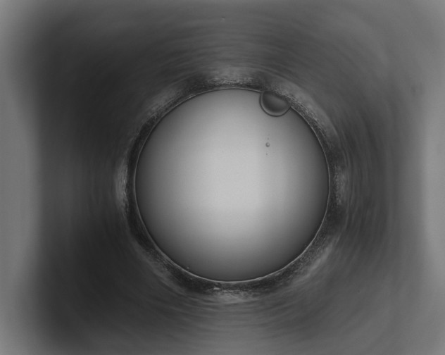 X0000102300490200808011405