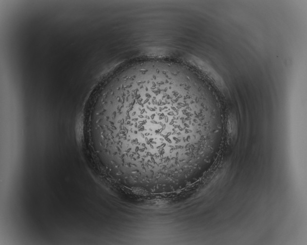 X0000102300492200808011405