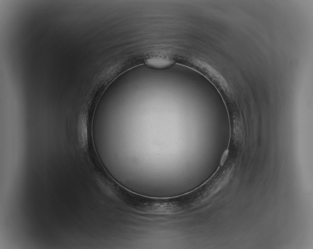 X0000102300493200808011405