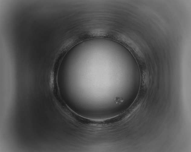 X0000102300494200808011405