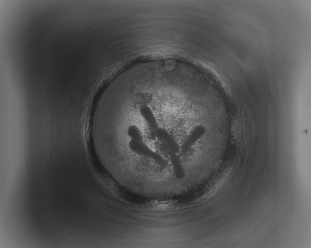 X0000102300495200808011405