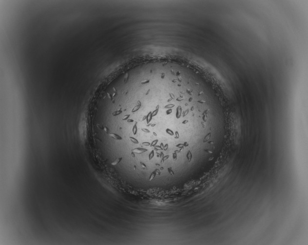 X0000102300496200808011405