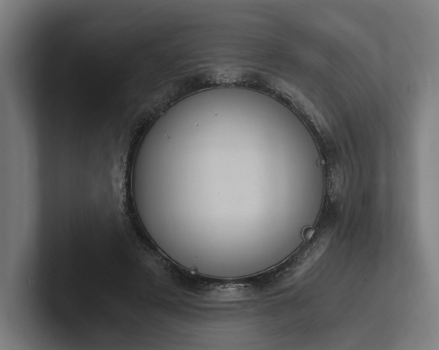 X0000102300497200808011405