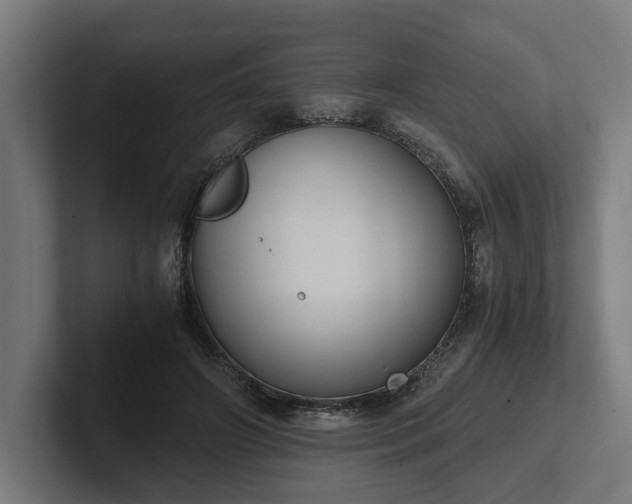 X0000102300498200808011405