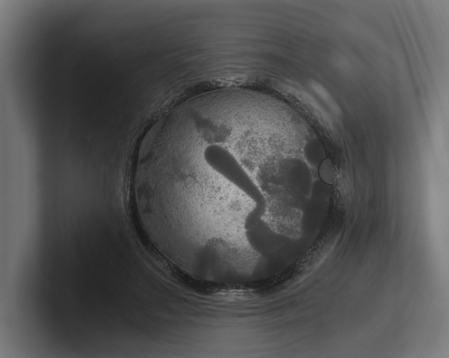 X0000102300499200808011405