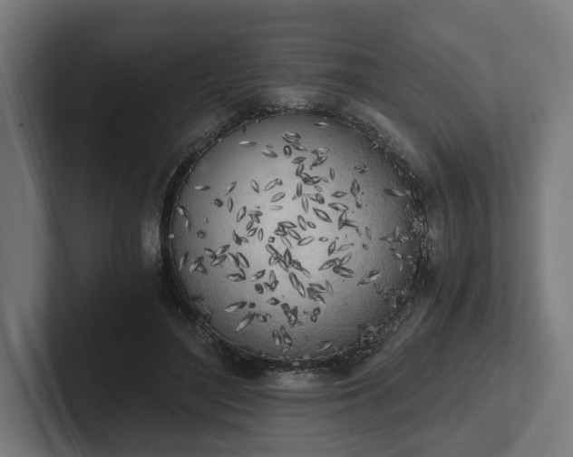 X0000102300500200808011405