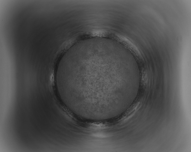 X0000102300502200808011405