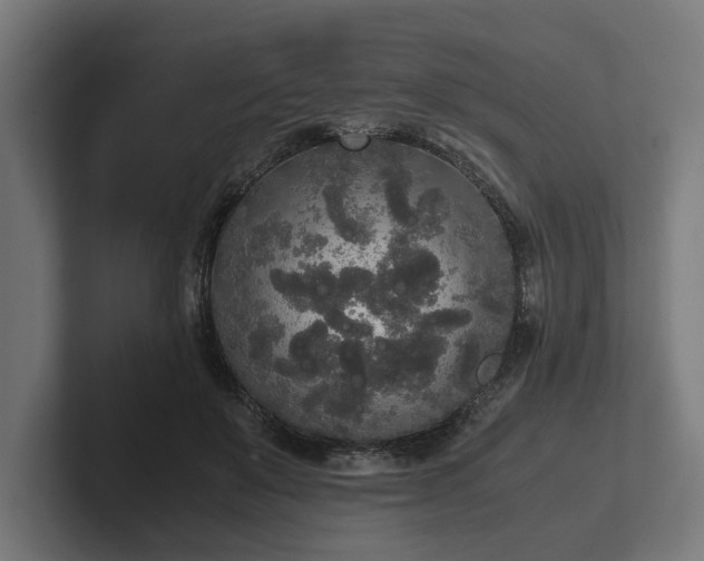 X0000102300503200808011405