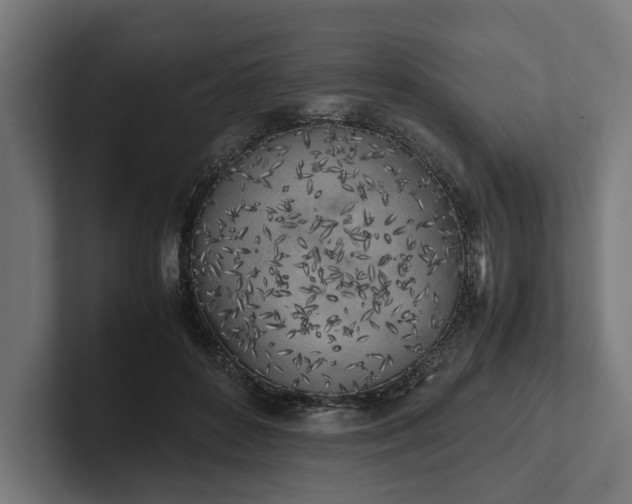X0000102300504200808011405