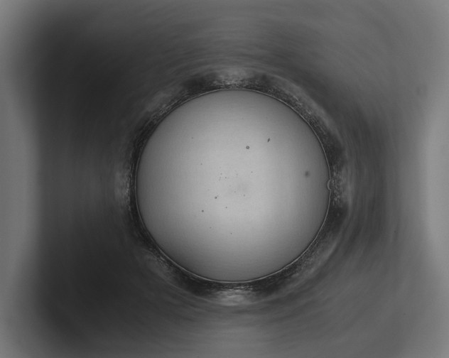 X0000102300505200808011405